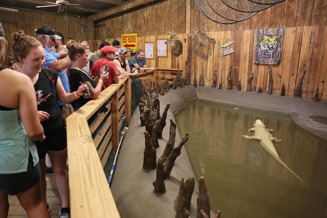 New Orleans Airboat Ride - What You’ll Learn From the Guide (and Why It Matters)