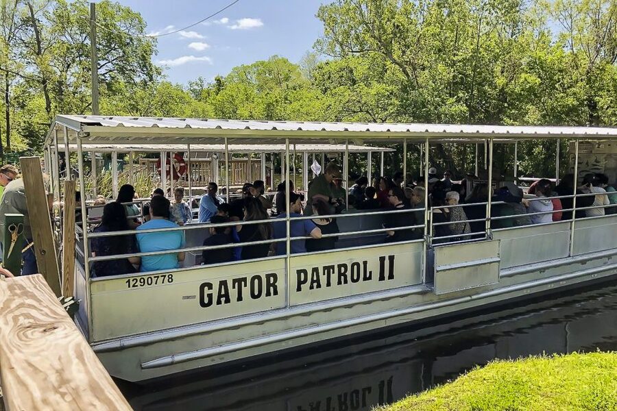 New Orleans: Bayou Swamp Tour and Oak Alley Plantation Tour - Covered Boat Comfort, Rain or Shine, and the Reality of a Long Ride