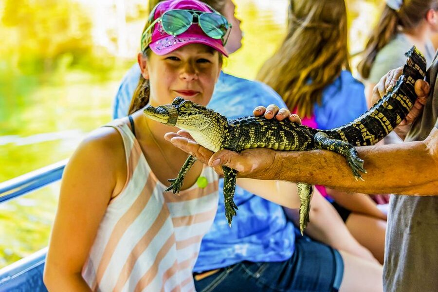 New Orleans: Bayou Swamp Tour and Oak Alley Plantation Tour - Pickup Window, Bus Timing, and Why Being Ready Matters
