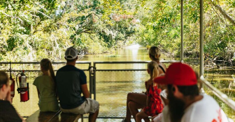 New Orleans: Bayou Tour in Jean Lafitte National Park - Sunshine the Pig and Patrick the Possum: why these names matter