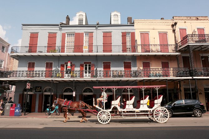 New Orleans City Sightseeing Hop-On Hop-Off Bus Tour - How the Hop-On Hop-Off Format Saves Your Day