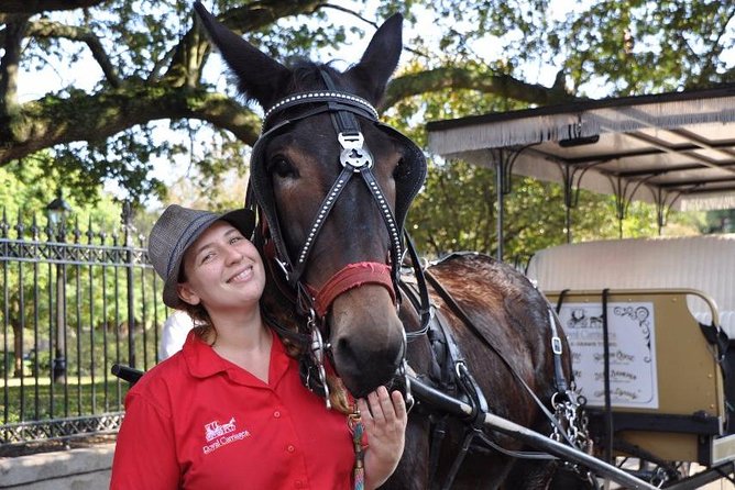 New Orleans French Quarter and More Carriage Ride - Comfort, Sound, and the 1-Hour Sweet Spot