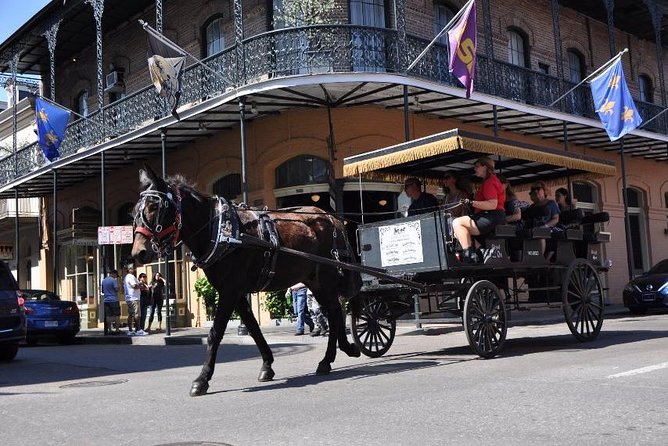New Orleans French Quarter and More Carriage Ride - Is $65 Worth It for a French Quarter and Marigny Carriage Ride?