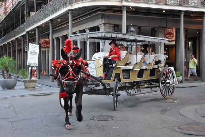 New Orleans French Quarter and More Carriage Ride - Who Should Book This Tour, and Who Might Skip It?