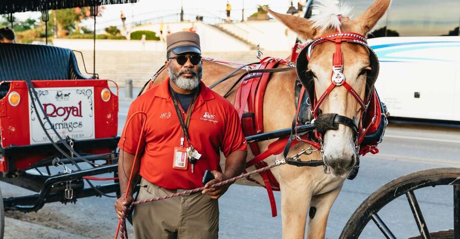 New Orleans: French Quarter Sightseeing Carriage Ride - Should You Book This French Quarter Mule Carriage Ride?