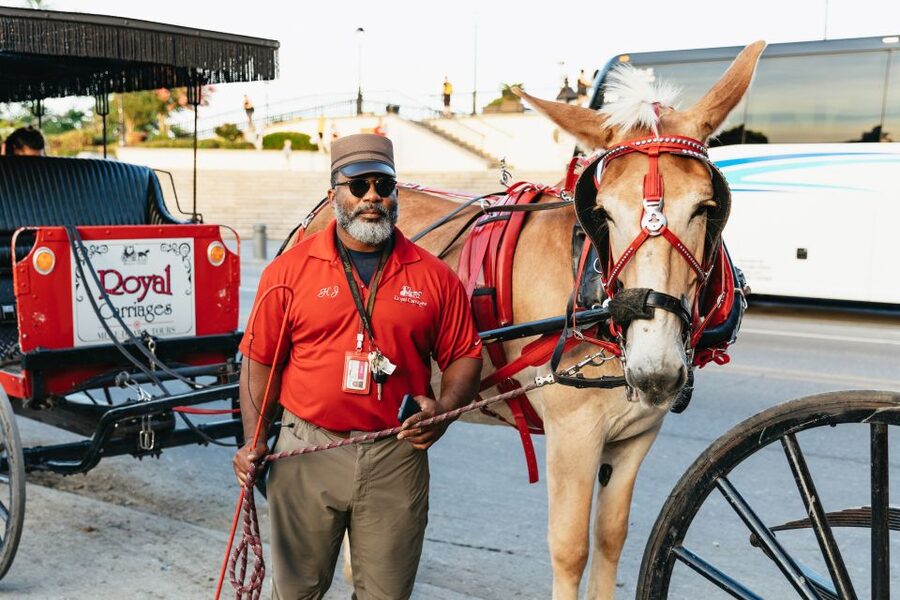 New Orleans: French Quarter Sightseeing Carriage Ride - Price and Value: Why $65 Often Makes Sense