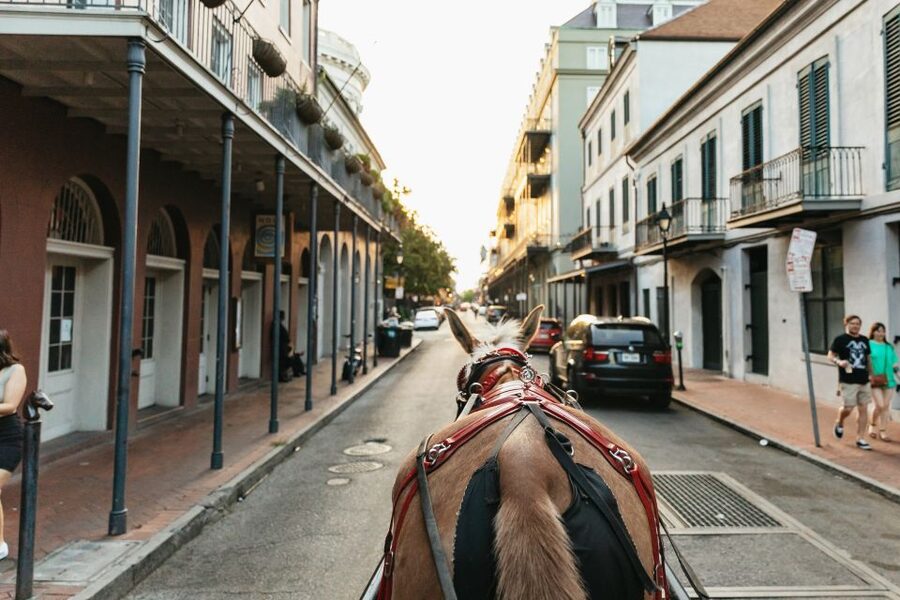 New Orleans: French Quarter Sightseeing Carriage Ride - Who This Tour Fits Best (and Who Might Want Something Else)