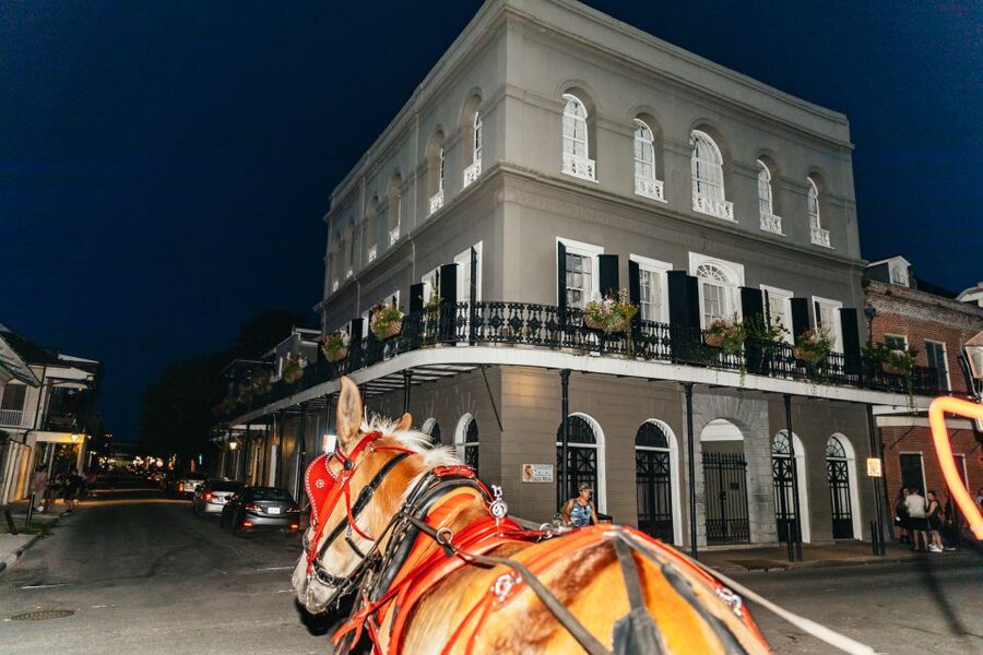 New Orleans: French Quarter Sightseeing Carriage Ride - Small Details That Help You Have a Better Ride