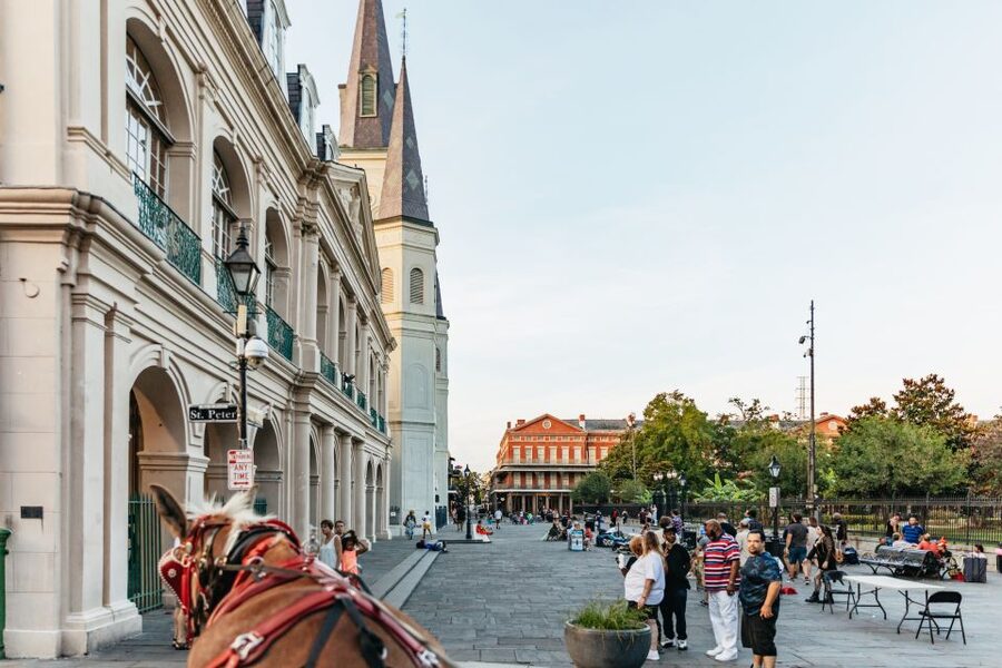 New Orleans: French Quarter Sightseeing Carriage Ride - How the Mule Carriage Changes the French Quarter Experience