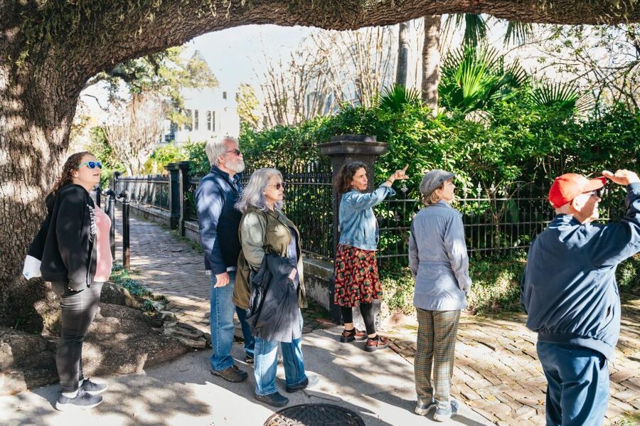 New Orleans: Garden District Guided Walking Tour - Price and value: what $35 buys you in the real world