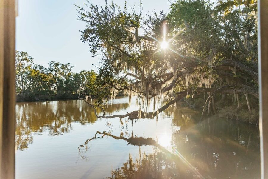 New Orleans: Guided Swamp Cruise by Tour Boat - Quiet Bayou Escape Outside the French Quarter