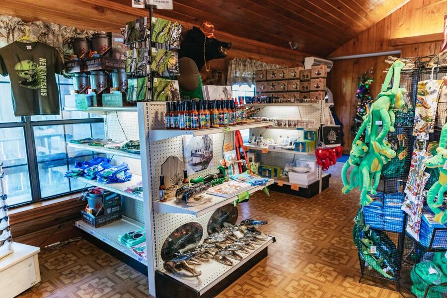 New Orleans: Guided Swamp Cruise by Tour Boat - Cajun Life on the Bayou: Why the Stories Matter