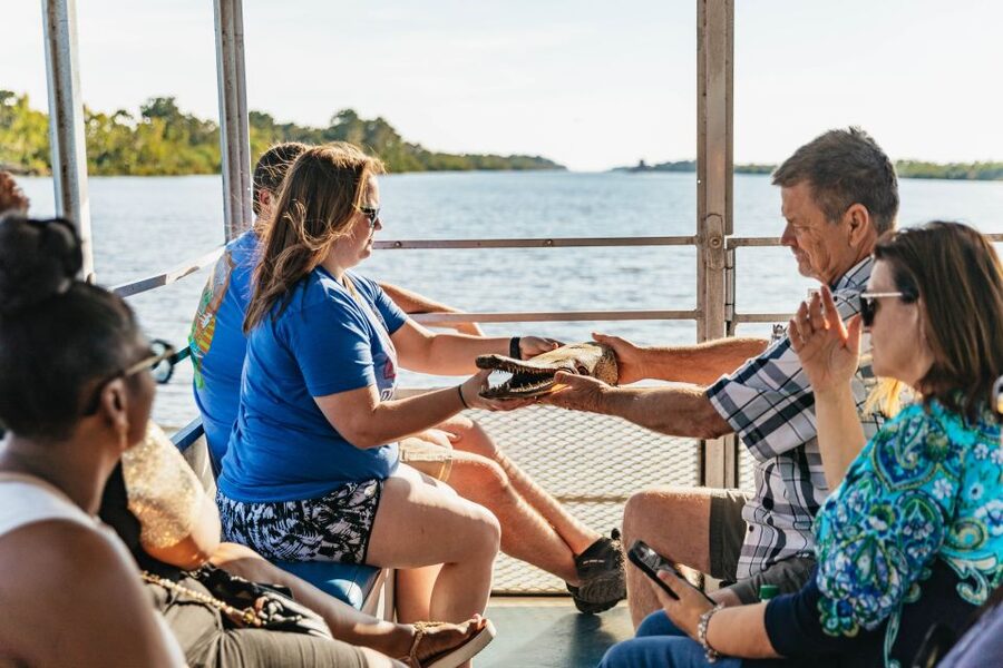 New Orleans: Guided Swamp Cruise by Tour Boat - Price and Value: Is $35 Per Person a Good Deal?