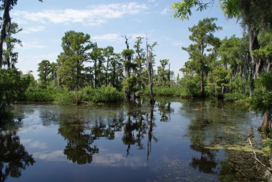 New Orleans: High Speed 16 Passenger Airboat Ride - Key Highlights Worth Booking