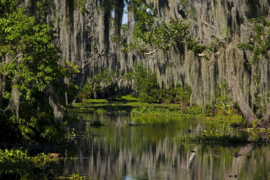 New Orleans: High Speed 16 Passenger Airboat Ride - Jean Lafitte National Historical Park and Preserve: Why This Location Matters
