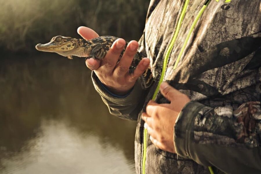 New Orleans: High Speed 16 Passenger Airboat Ride - Open-Boat Reality: Rain, Hearing Protection, and Comfort Tips