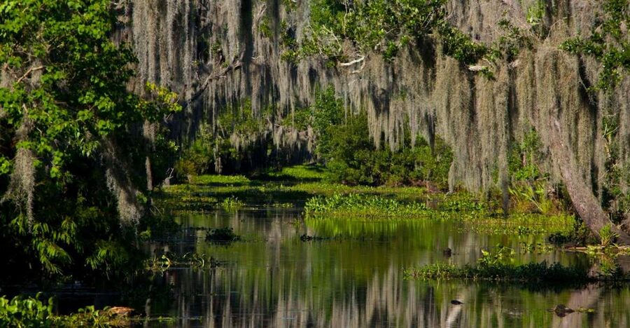 New Orleans: High Speed 16 Passenger Airboat Ride - Getting There: Hotel Pickup, the 45-Minute Coach Ride, and the Dock