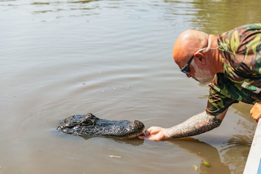 New Orleans: High Speed 9 Passenger Airboat Tour - Price and value: is $89 per person a good deal?
