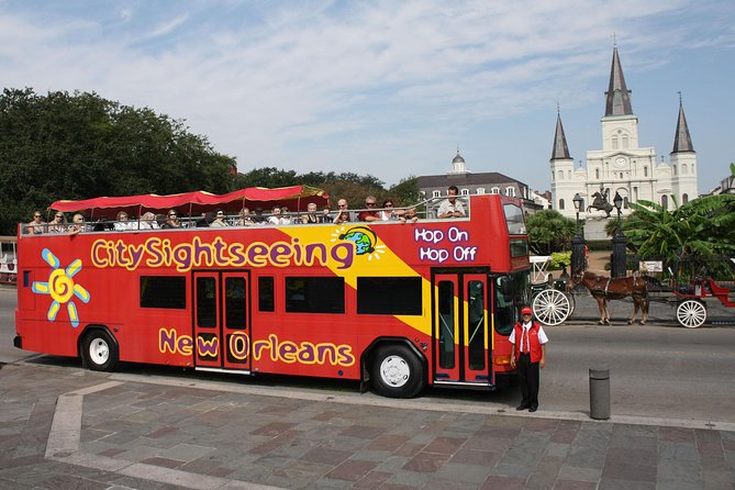 New Orleans Hop-On Hop-Off Unlimited Sightseeing Package - Walking tours: why the included guides matter