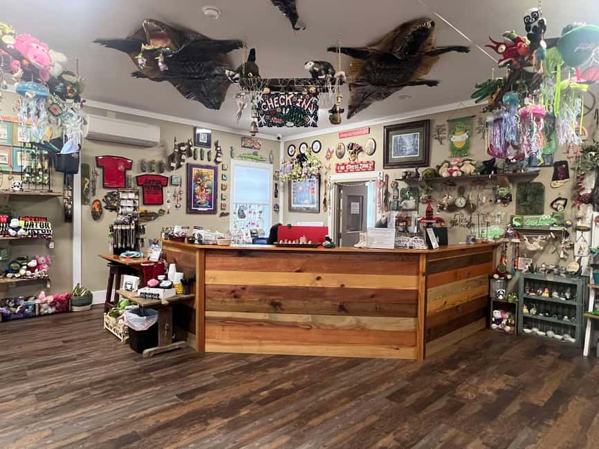 New Orleans Manchac Bayou Swamp Cruise W/ Optional Pick-Up - Wildlife highlights: what you can realistically expect to see