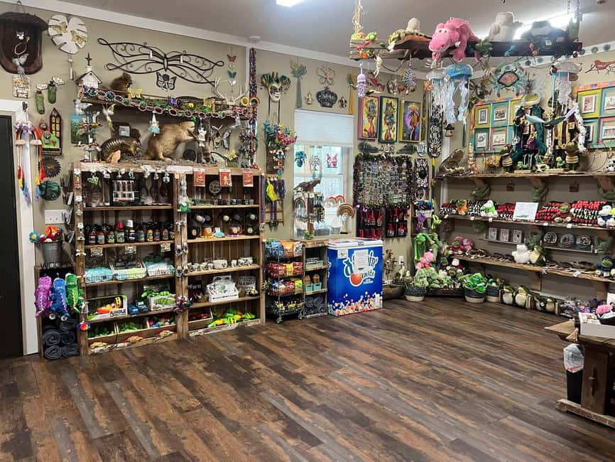 New Orleans Manchac Bayou Swamp Cruise W/ Optional Pick-Up - Price and value: how $35 works when you count the full experience