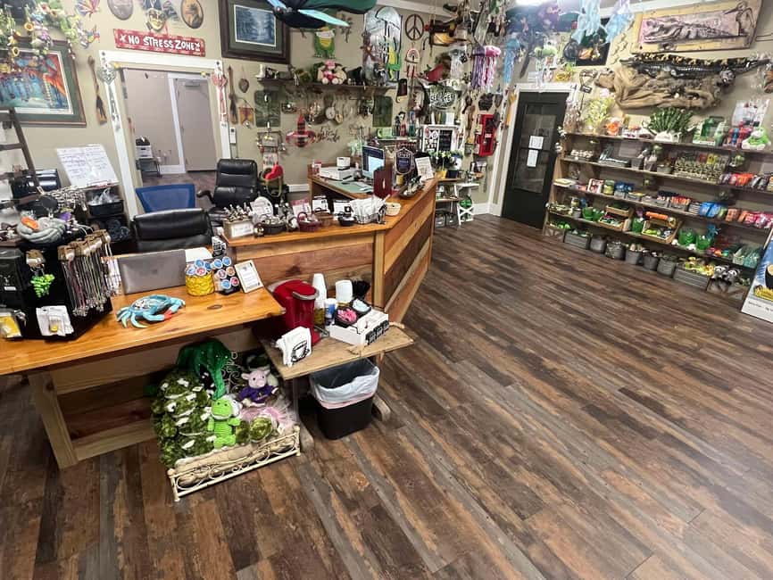 New Orleans Manchac Bayou Swamp Cruise W/ Optional Pick-Up - Best ways to get the most from your tour day