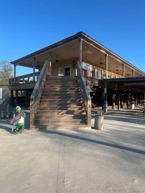 New Orleans Manchac Bayou Swamp Cruise W/ Optional Pick-Up - American alligator facts and Cajun legends you hear on the ride