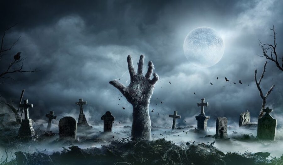 New Orleans: Night Cemetery and Ghost BYOB Bus Tour - The bus ride toward Mid-City and City Park