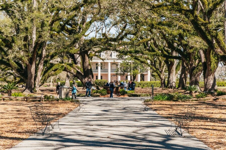 New Orleans: Oak Alley Plantation & Airboat Swamp Combo Tour - Key things you will notice on this Oak Alley and airboat combo