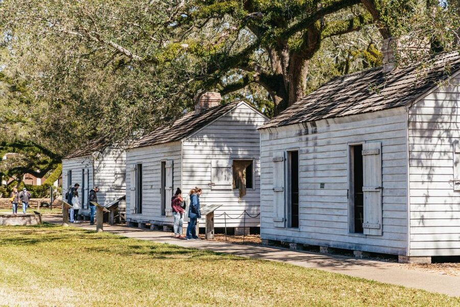 New Orleans: Oak Alley Plantation & Airboat Swamp Combo Tour - Wildlife spotting reality check: gators, birds, raccoons, and wild pigs