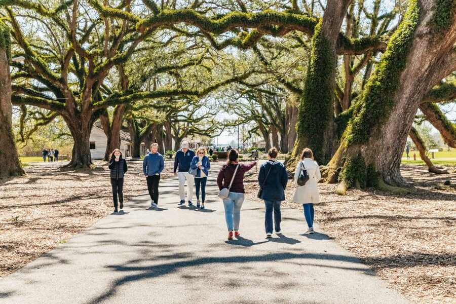 New Orleans: Oak Alley Plantation & Airboat Swamp Combo Tour - Should you book this Oak Alley and airboat combo tour?
