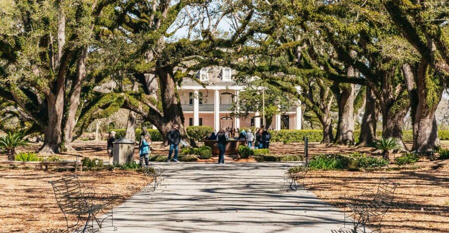 New Orleans: Oak Alley Plantation & Airboat Swamp Combo Tour - The grounds walkthrough: 28 oak trees, farm exhibits, and where to grab time
