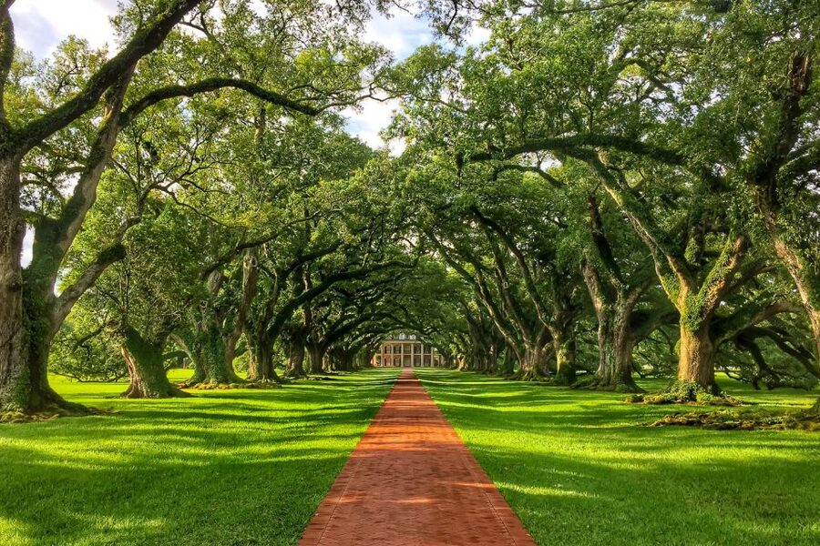 New Orleans: Oak Alley Plantation Tour with Transportation - Key highlights worth your attention