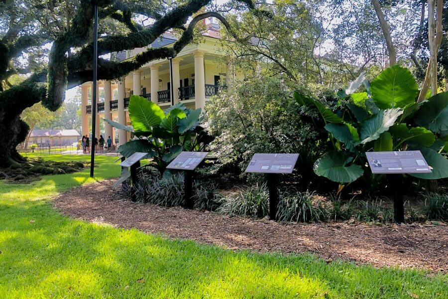 New Orleans: Oak Alley Plantation Tour with Transportation - Big House guided tour: Greek Revival rooms and the stairs rule