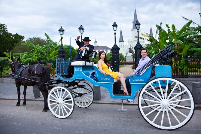 New Orleans Private Carriage Tour of the French Quarter - How the driver runs the ride, plus photo and video rules