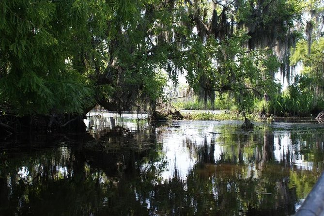 New Orleans Small-Group Airboat Swamp Tour - Marrero start point, drive time, and what to expect before the boat