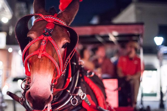 New Orleans Small-Group Haunted History Carriage Tour - Price and what $65 buys you in real terms