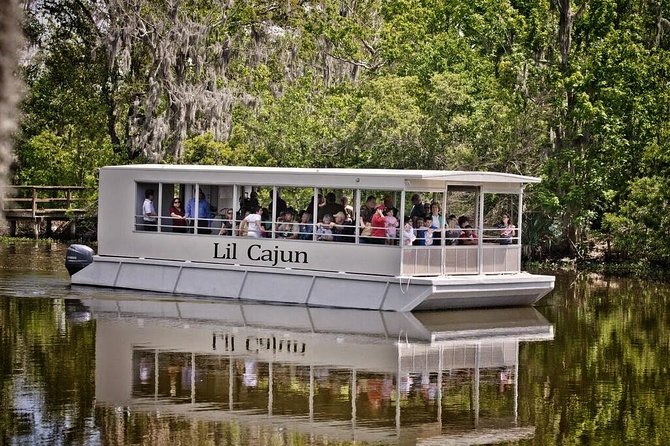 New Orleans Swamp and Bayou Alligator Tour - From the French Quarter to Cajun Country: The Big Change in One Day