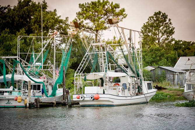 New Orleans Swamp and Bayou Alligator Tour - The Pontoon Cruise: How the Ride Feels and What’s Included