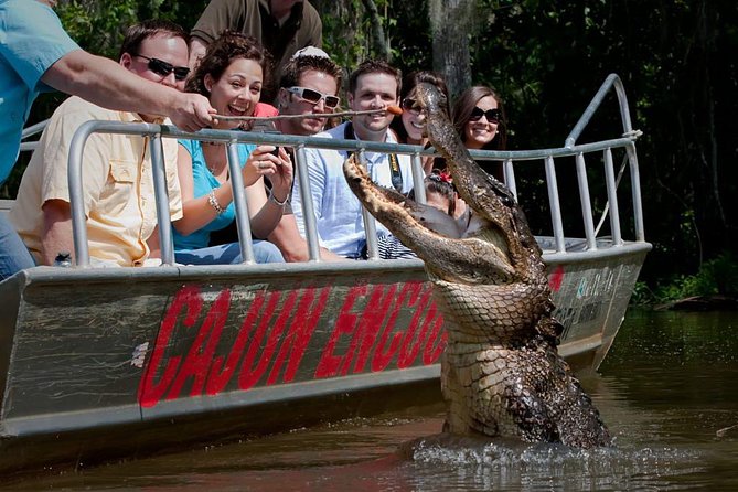 New Orleans Swamp and Bayou Boat Tour with Transportation - Key points before you go