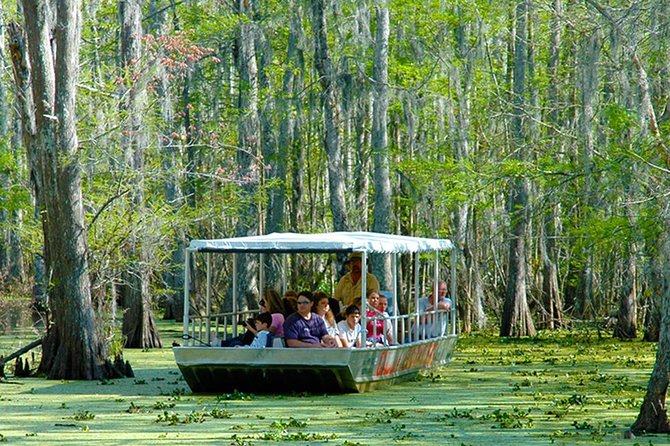 New Orleans Swamp and Bayou Boat Tour with Transportation - Cajun village by boat: what you get, and how to set the right expectations
