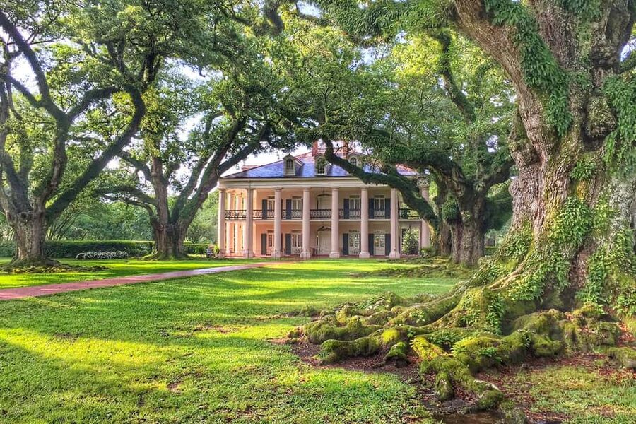 New Orleans: Swamp Boat Ride & Oak Alley Plantation Tour - Quick hits on Oak Alley plus Manchac Swamp
