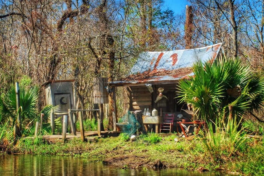 New Orleans: Swamp Boat Ride & Oak Alley Plantation Tour - Price and value: what you get for about $131 and why the time matters