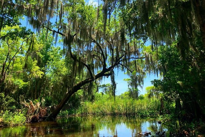 New Orleans Swamp Tour Boat Adventure with Transportation - How the hotel pickup and timing affect your day