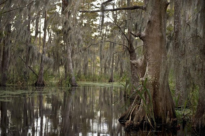 New Orleans Swamp Tour Boat Adventure - Cultural Stops From the Water: Cajun Cemetery and an Indigenous Burial Mound