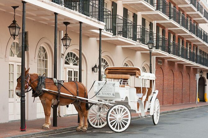 New Orleans Vampire Walking Tour - Key things to know before you go