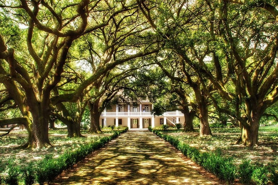New Orleans: Whitney Plantation Tour with Transportation - The self-guided audio tour format, and how to make it work