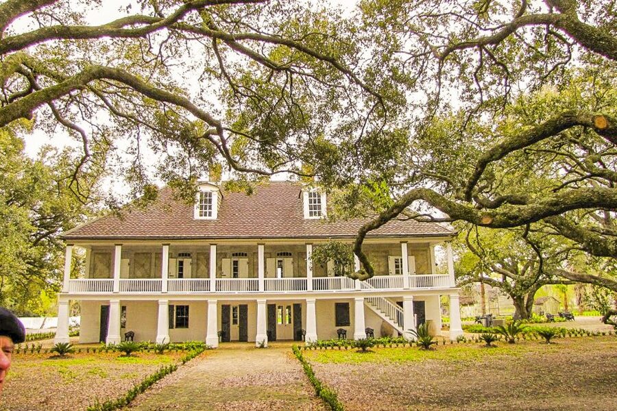 New Orleans: Whitney Plantation Tour with Transportation - Manchac Swamp upgrade: the 90-minute pontoon boat add-on