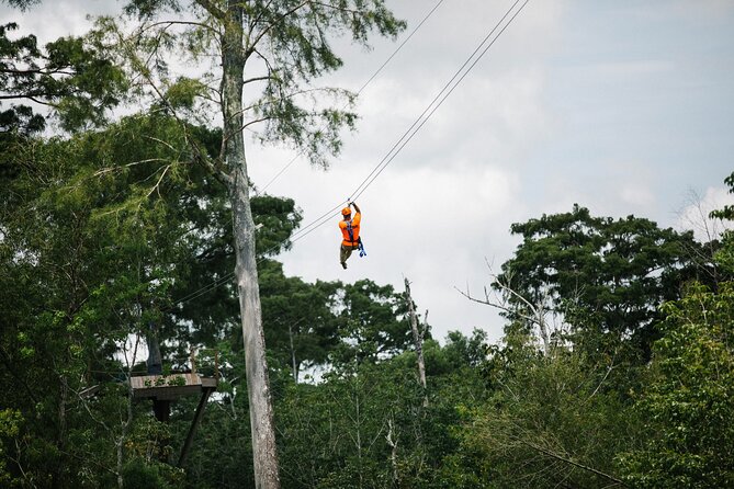 New Orleans Zipline Swamp Tour - Key Highlights You Should Know