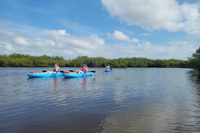 New Smyrna Dolphin and Manatee Kayak and SUP Adventure Tour - What Wildlife Spotting Really Looks Like in New Smyrna